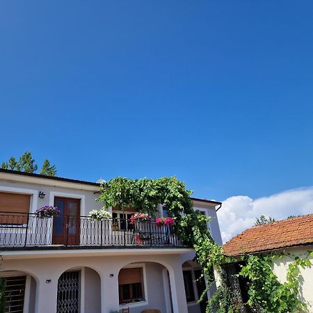 La Casa Nella Vigna Colline Del Vino Apartment Capannori Bagian luar foto
