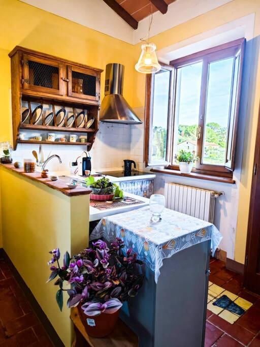 La Casa Nella Vigna Colline Del Vino Apartment Capannori Bagian luar foto