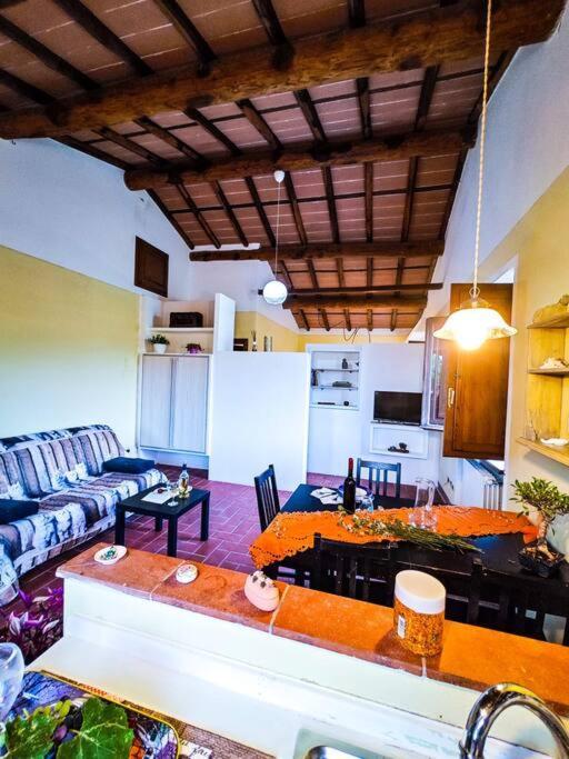 La Casa Nella Vigna Colline Del Vino Apartment Capannori Bagian luar foto