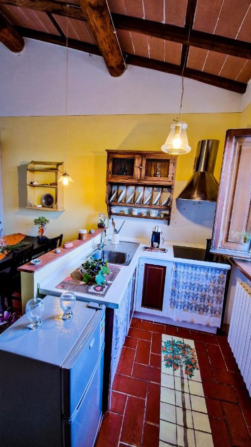 La Casa Nella Vigna Colline Del Vino Apartment Capannori Bagian luar foto