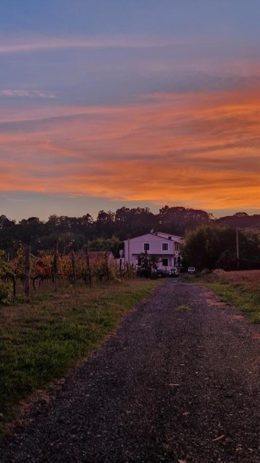 La Casa Nella Vigna Colline Del Vino Apartment Capannori Bagian luar foto