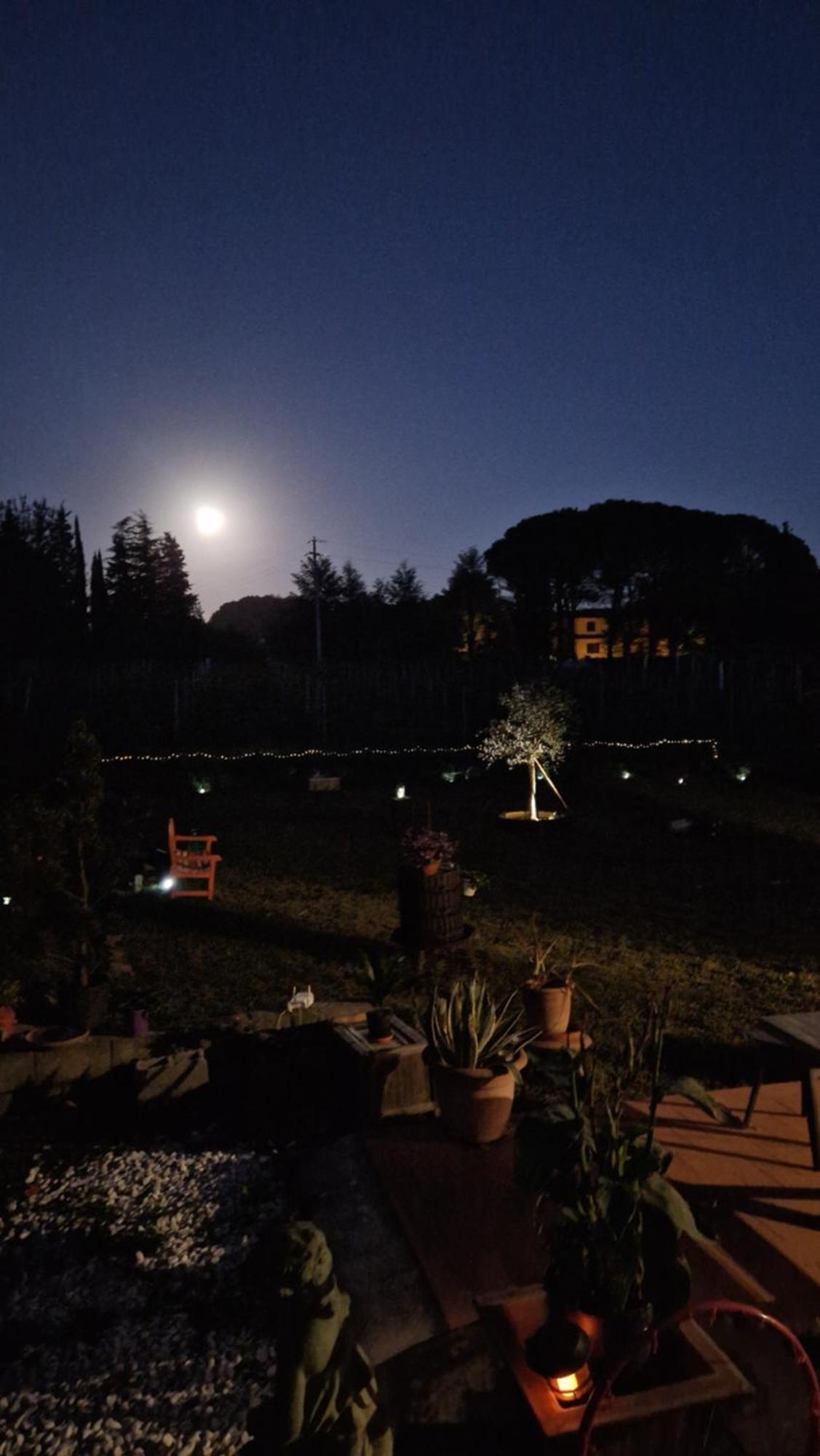 La Casa Nella Vigna Colline Del Vino Apartment Capannori Bagian luar foto