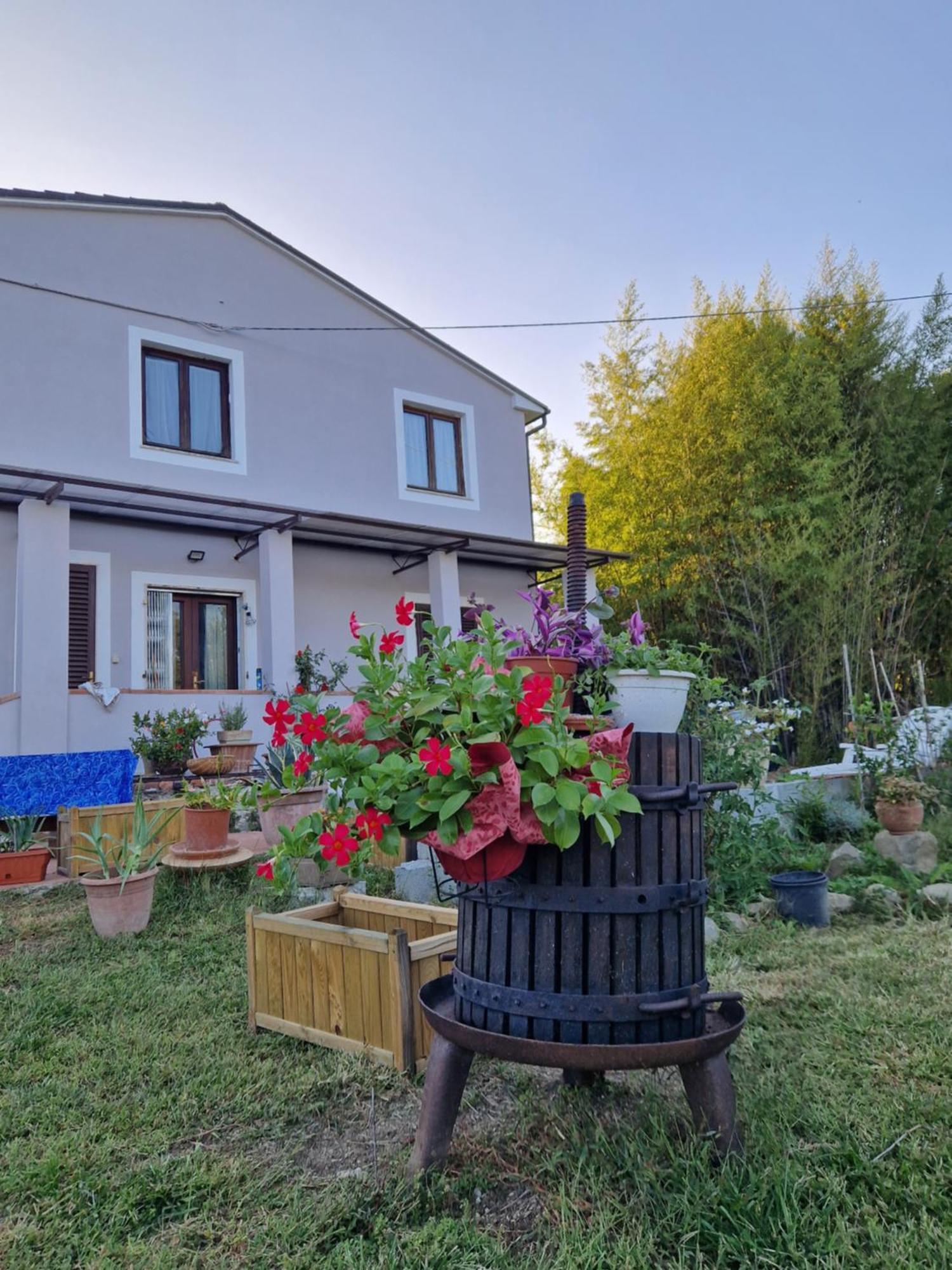 La Casa Nella Vigna Colline Del Vino Apartment Capannori Bagian luar foto