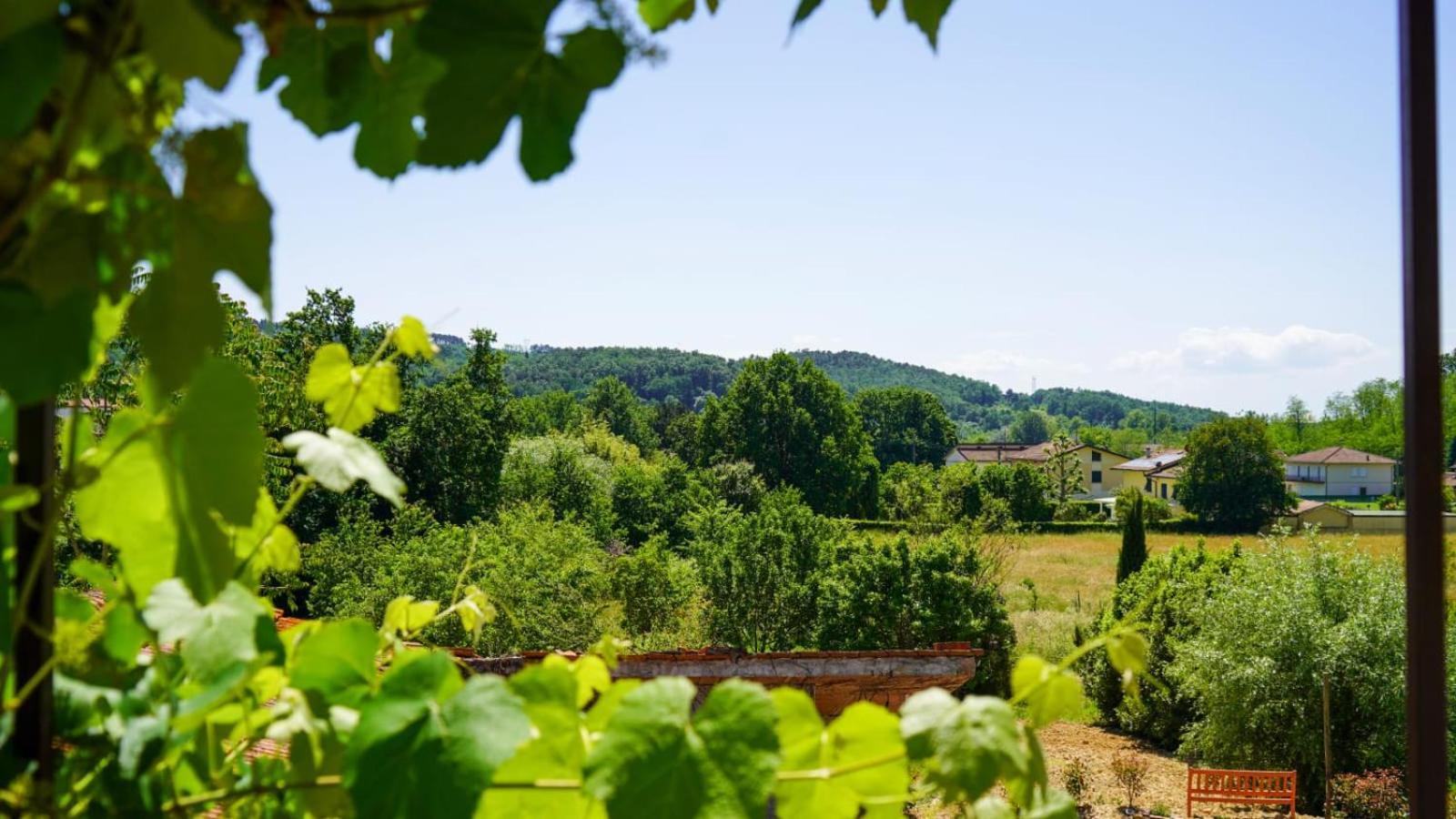 La Casa Nella Vigna Colline Del Vino Apartment Capannori Bagian luar foto