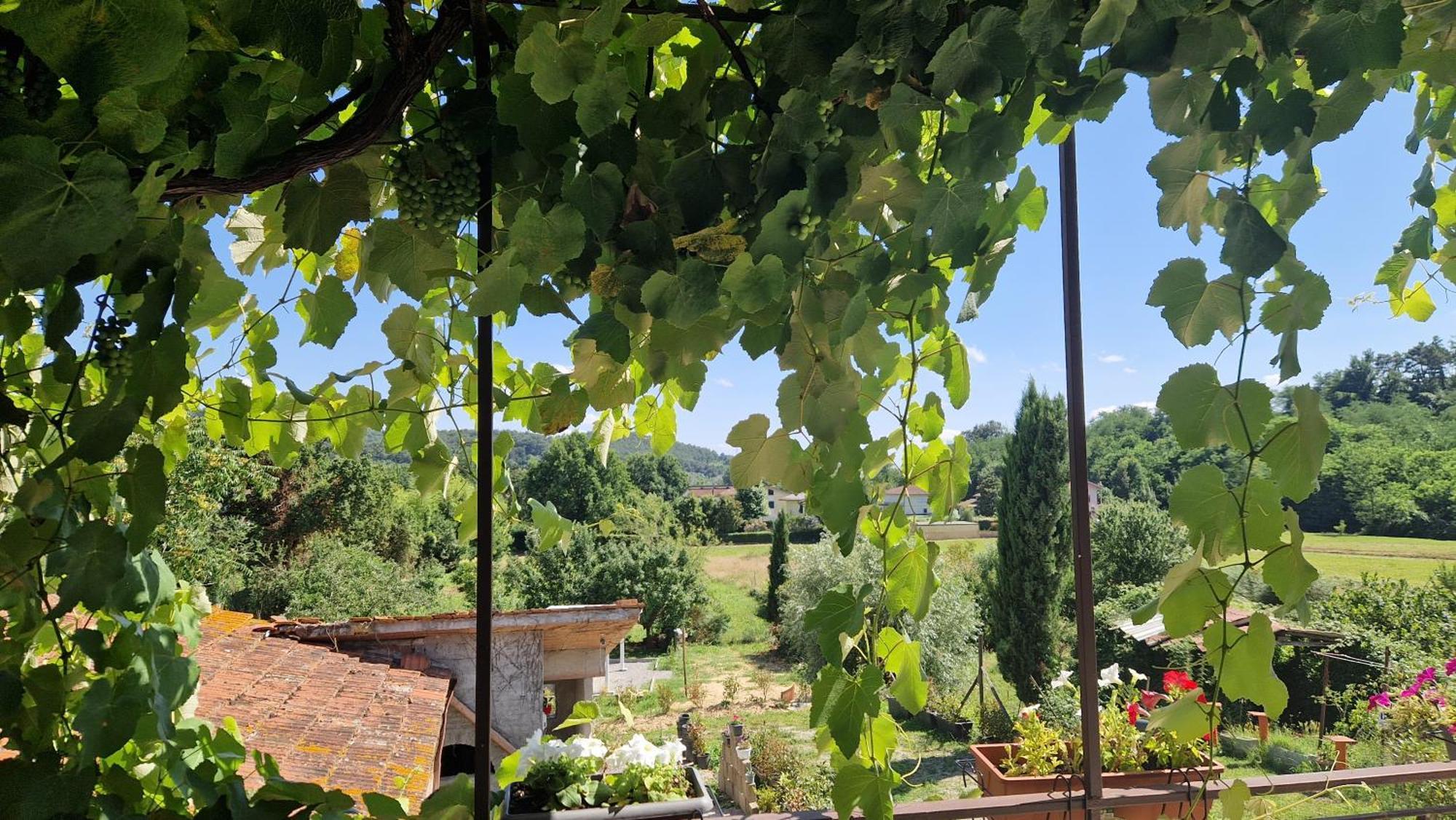 La Casa Nella Vigna Colline Del Vino Apartment Capannori Bagian luar foto